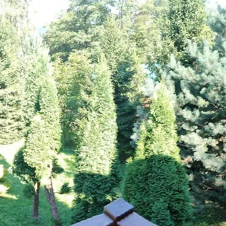 Hotel сосновий двір