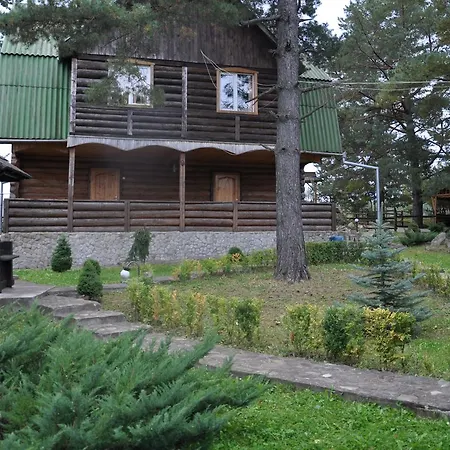 сосновий двір * Kossiw