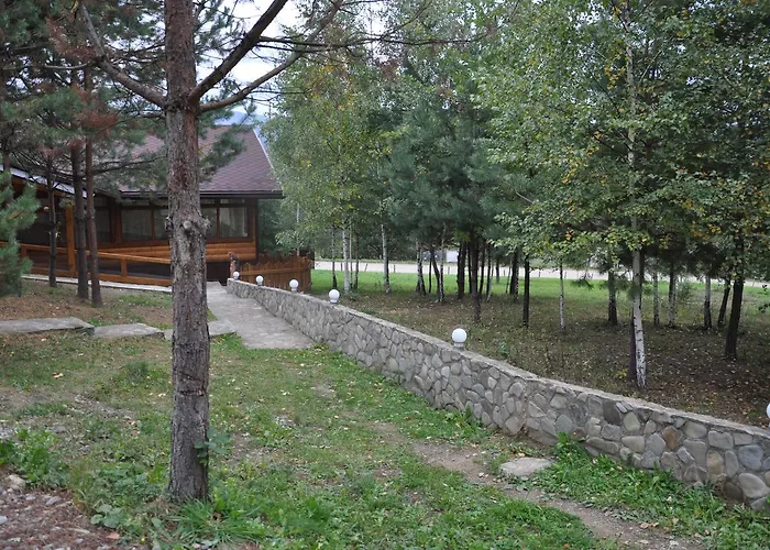 сосновий двір Hotel *