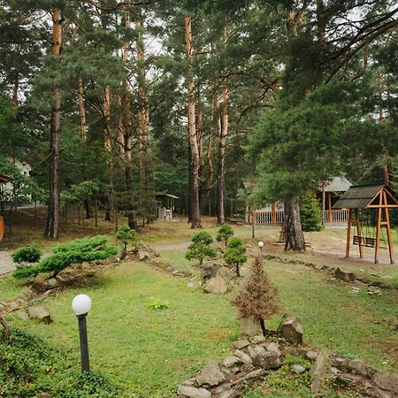 ホテル сосновий двір コシフ