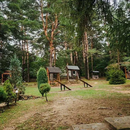 сосновий двір ホテル