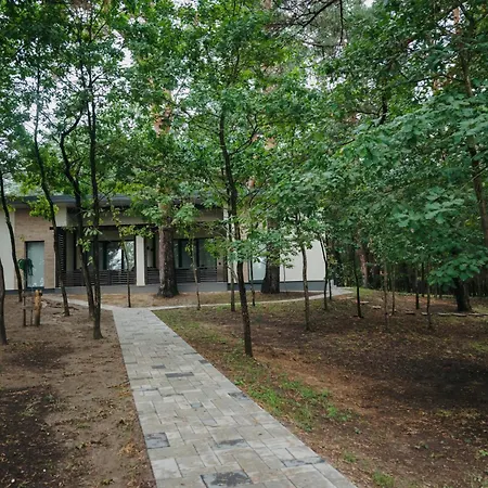 сосновий двір Hotel Kossiv