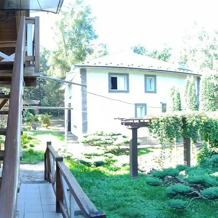 Hotel сосновий двір Kossiv