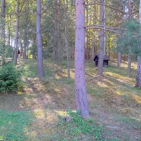 Отель сосновий двір *