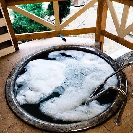 сосновий двір Kossiv